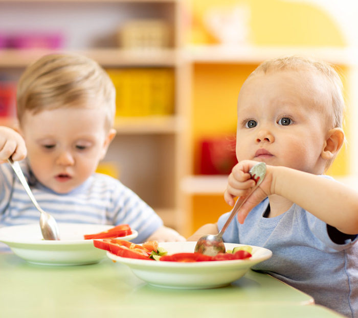 creche laminak repas laguntza etxerat